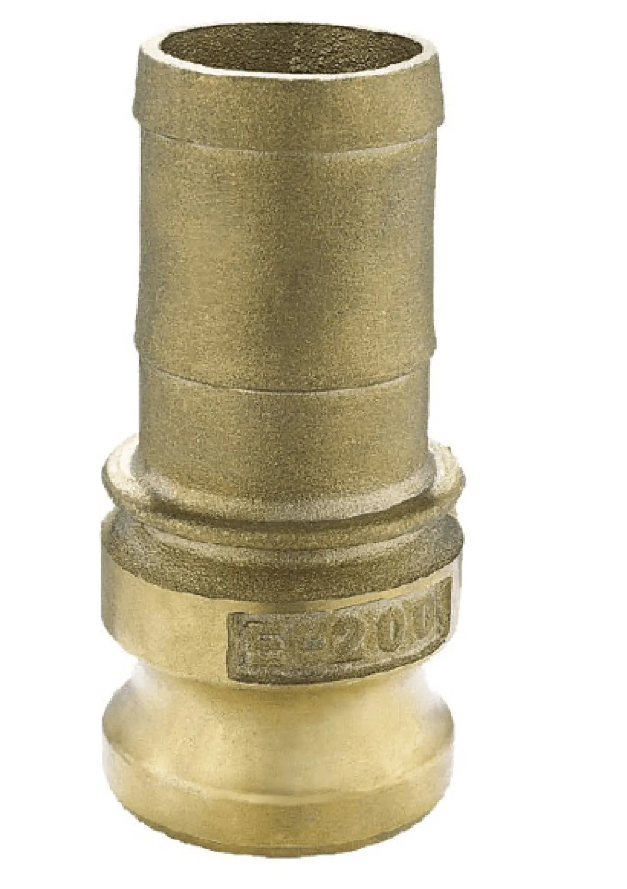 RACC. CAMLOCK 'E' OTTONE