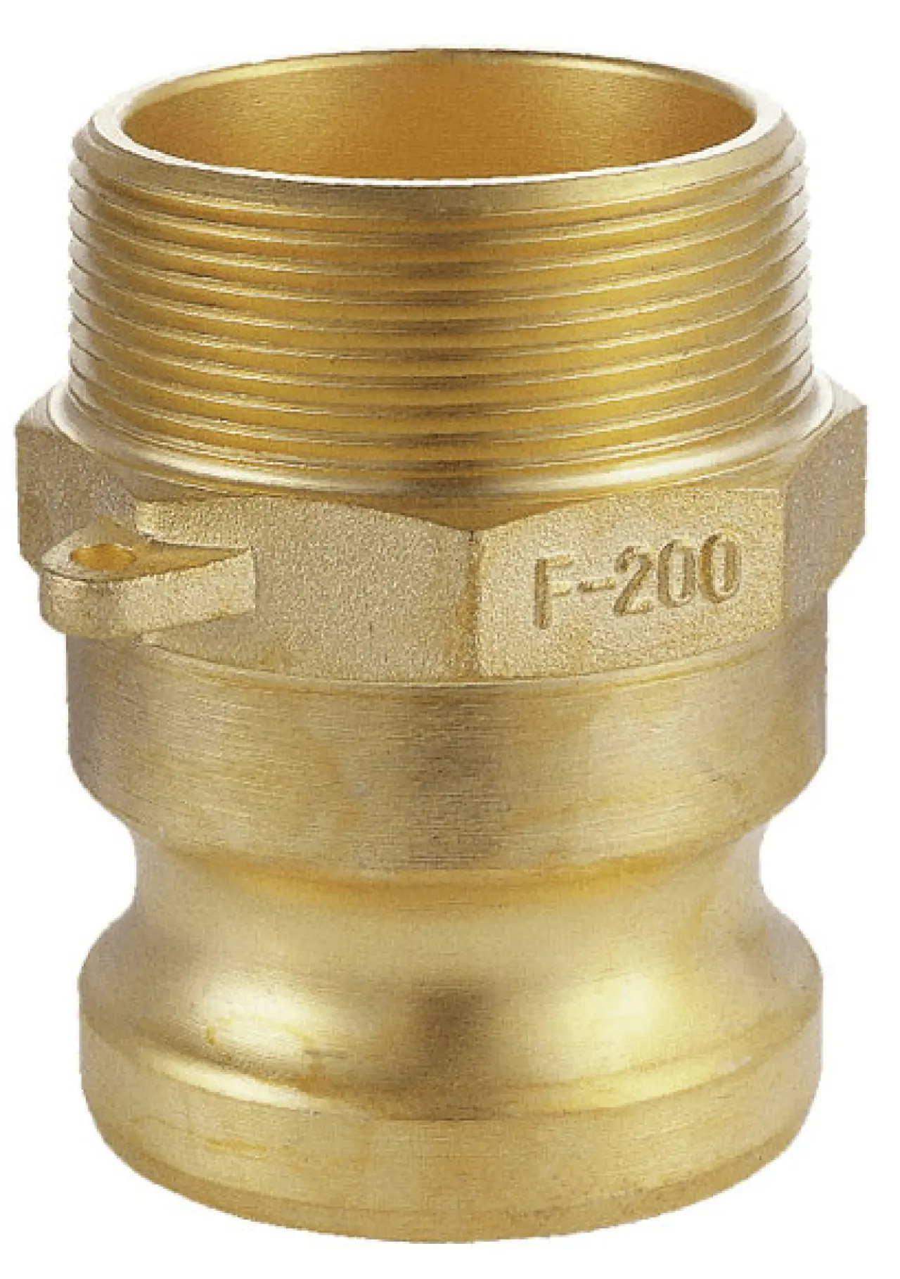 RACC. CAMLOCK 'F' OTTONE