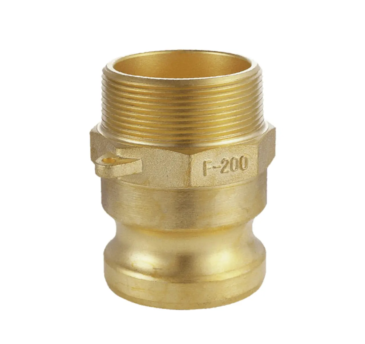 11RCAMO-F RACC. CAMLOCK 'F' OTTONE
